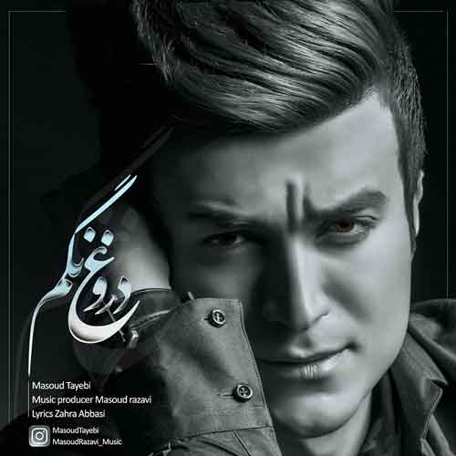 مسعود طیبی دروغ نگم